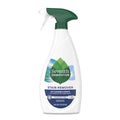 Laundry Stain Remover for Laundry Day - Free & Clear