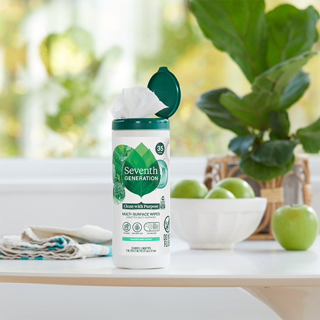 Multi-Surface Wipes in Garden Mint for Home Cleaning