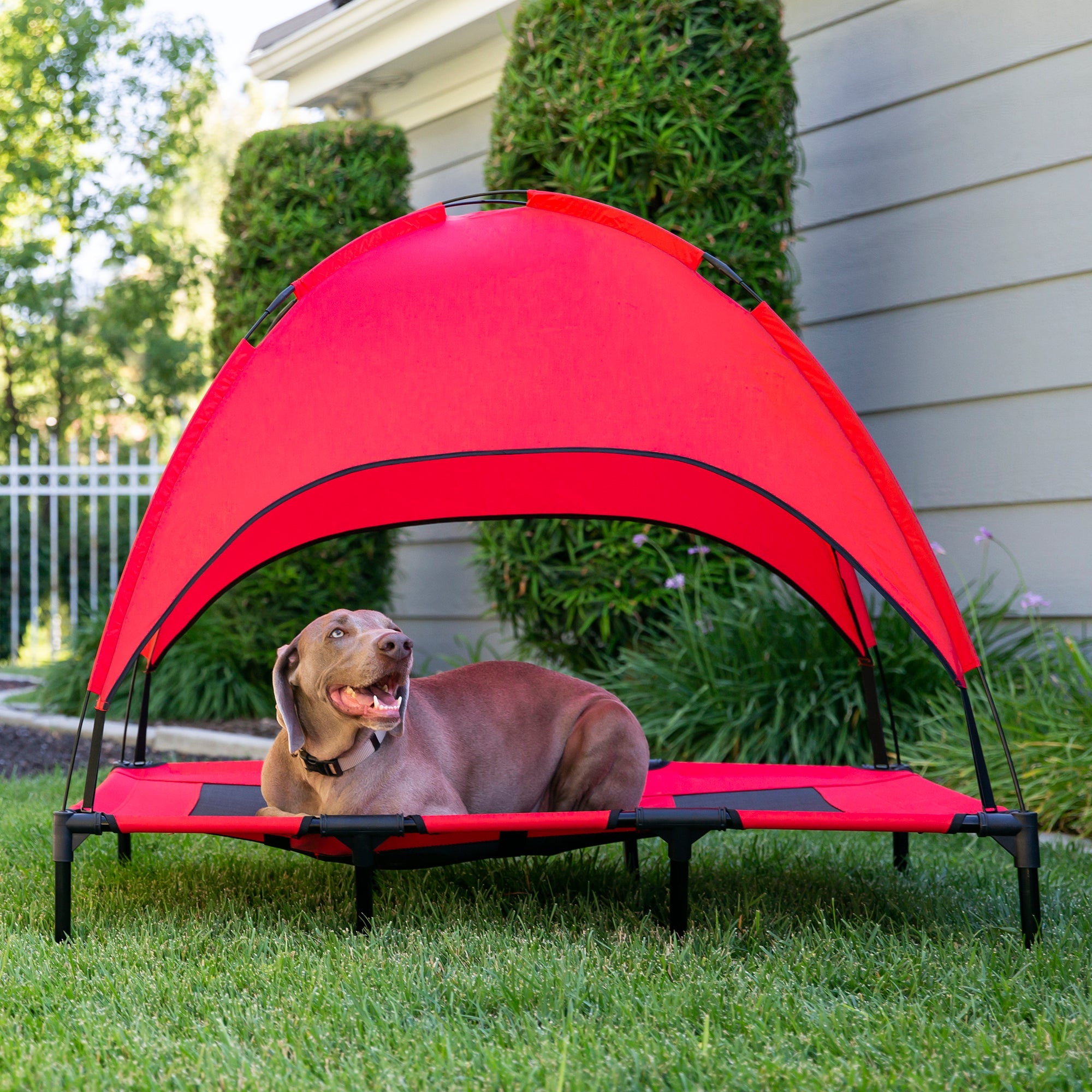 Elevated Cooling Dog Bed Outdoor Pet Cot w/ Canopy Carry Bag - 48in